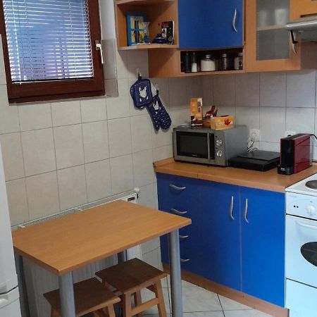 Plavi Apartman Airport Belgrad Dış mekan fotoğraf
